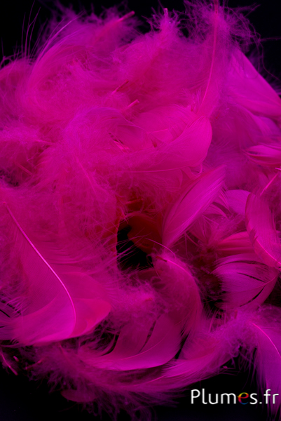 Oie - 4-6 cm - fuchsia